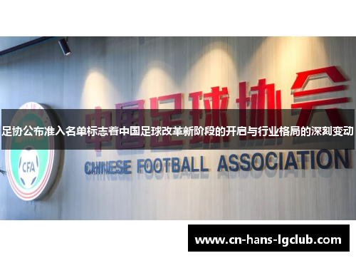 足协公布准入名单标志着中国足球改革新阶段的开启与行业格局的深刻变动
