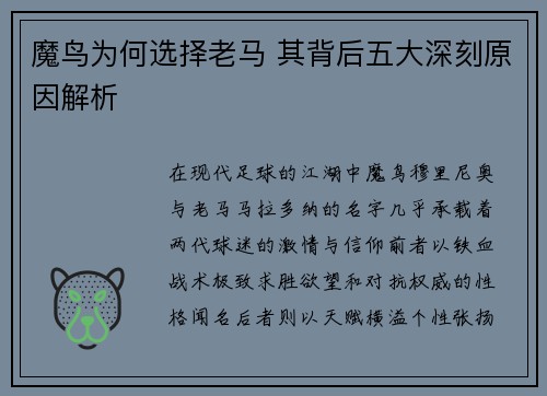 魔鸟为何选择老马 其背后五大深刻原因解析 魔鸟为何选择老马 其背后五大深刻原因解析